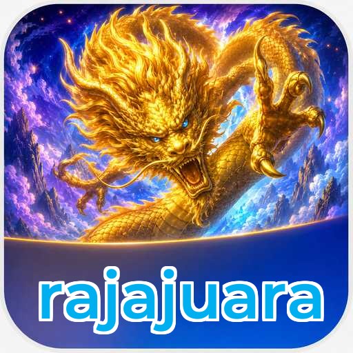 Expert Verdict - rajajuara Final Assessment